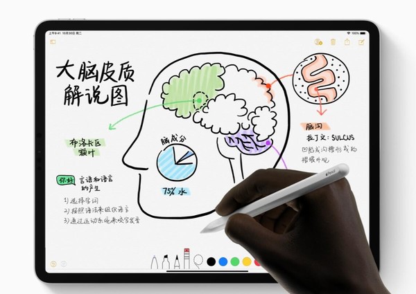 拼多多砸场子？iPad Pro 11吋版直降800！