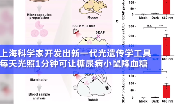 晒太阳降血糖？上海科学家们发现新型光遗传学工具