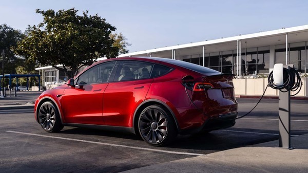 福建政府采购特斯拉Model Y，24.99万元抢眼价！